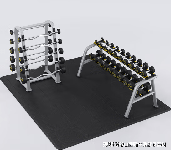 健身房常用器械大全(图2)