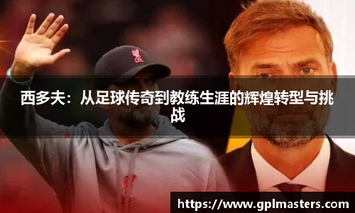 西多夫：从足球传奇到教练生涯的辉煌转型与挑战