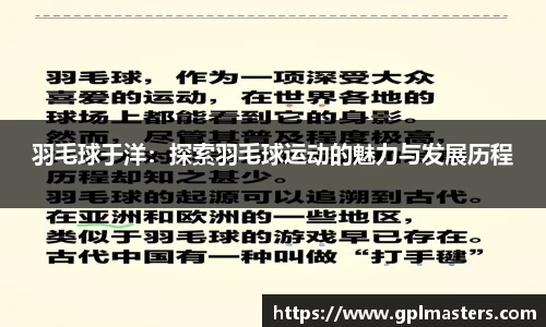 羽毛球于洋：探索羽毛球运动的魅力与发展历程